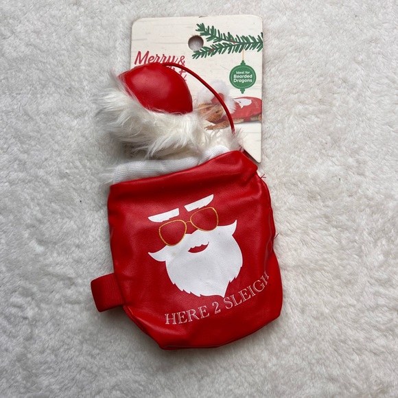 Reptile Biker Santa Costume Bearded Dragon - Picture 1 of 3